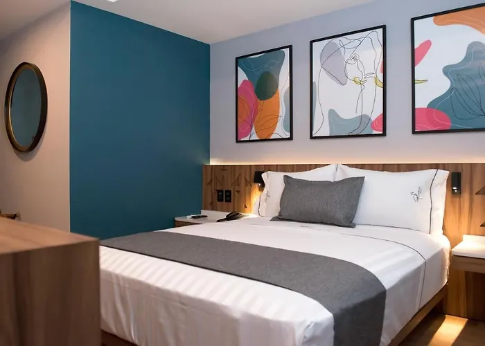 Hotel Flamencos Centro Historico 4*